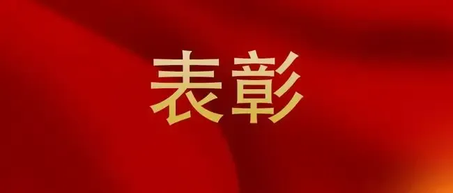 斯克維思—關(guān)于對技術(shù)開發(fā)部取得發(fā)明專利，予以表揚通報