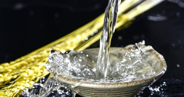 安徽你一定想象不到食品生產線，有SWISA的一份功勞！